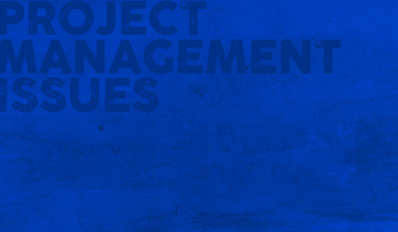 Project management issues statistic