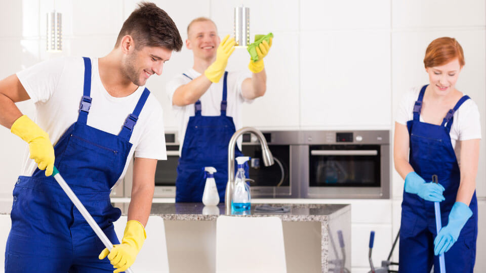 Cleaning Business in Florida blog image