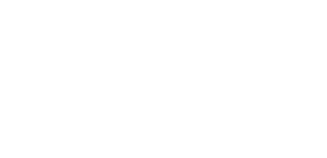 Sowga company logo