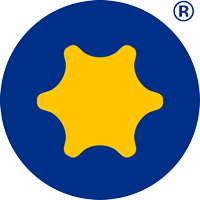global leader logo