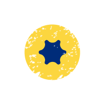 global leader logo